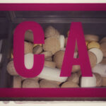 BCAA Branched-Chain Amino Acids